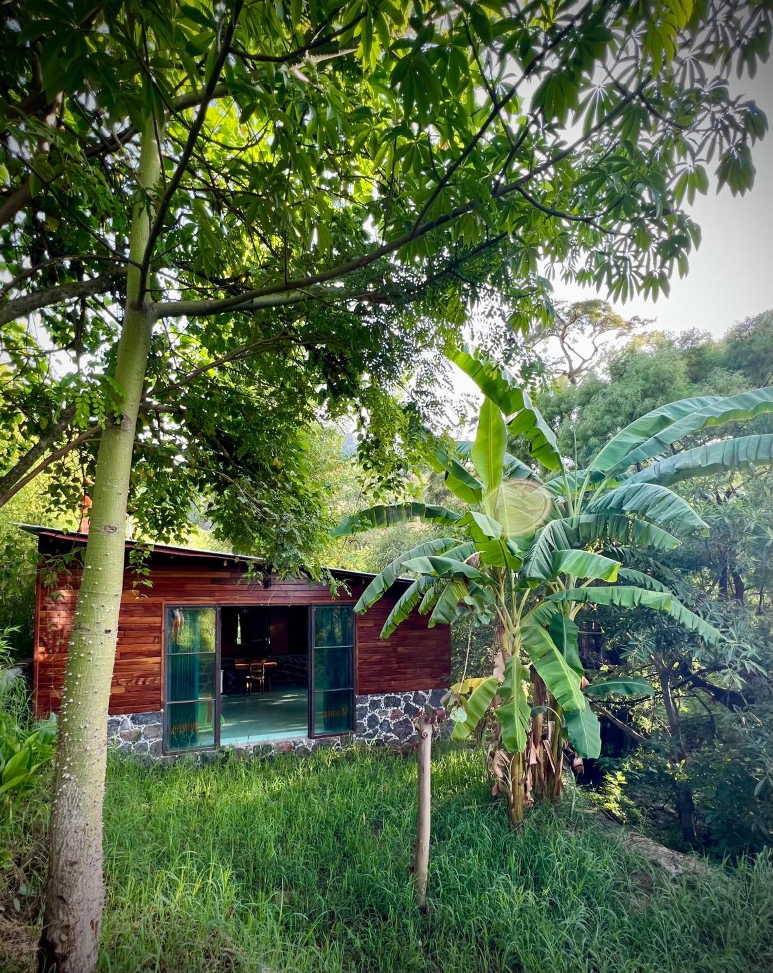 Santuario Ave Fenix-Cabanas Tepoztlán Exteriér fotografie